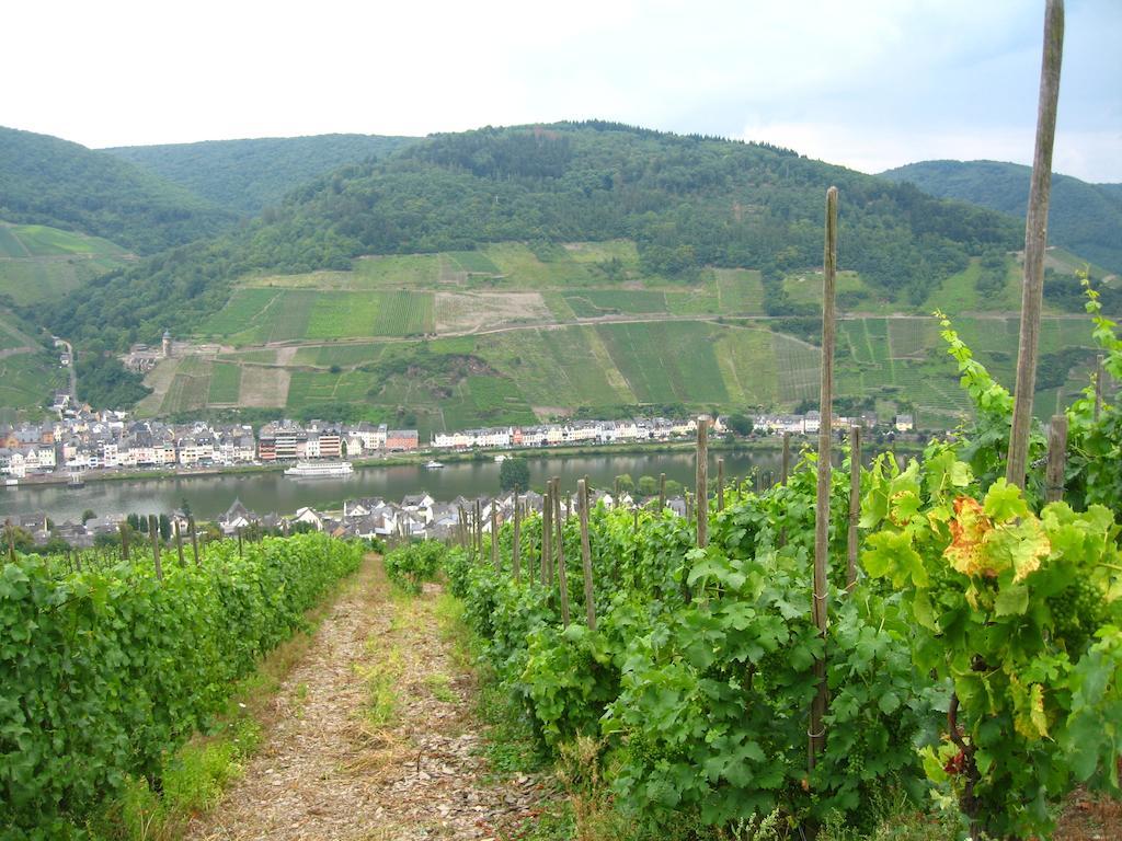 Haus Anna Villa Zell an der Mosel Dış mekan fotoğraf