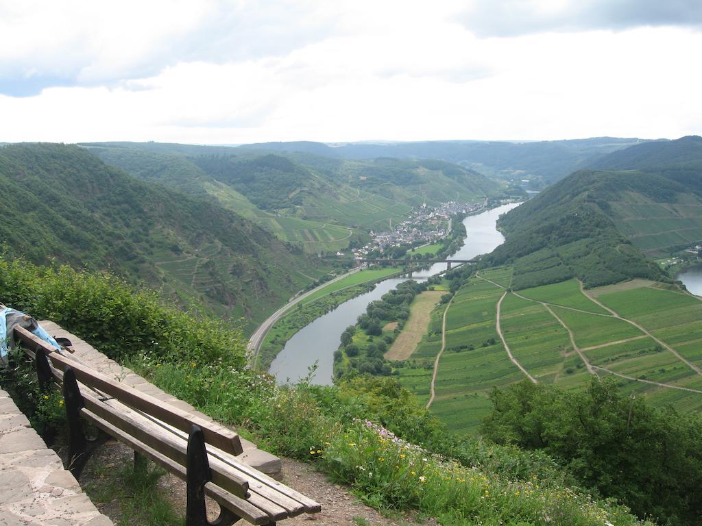 Haus Anna Villa Zell an der Mosel Dış mekan fotoğraf