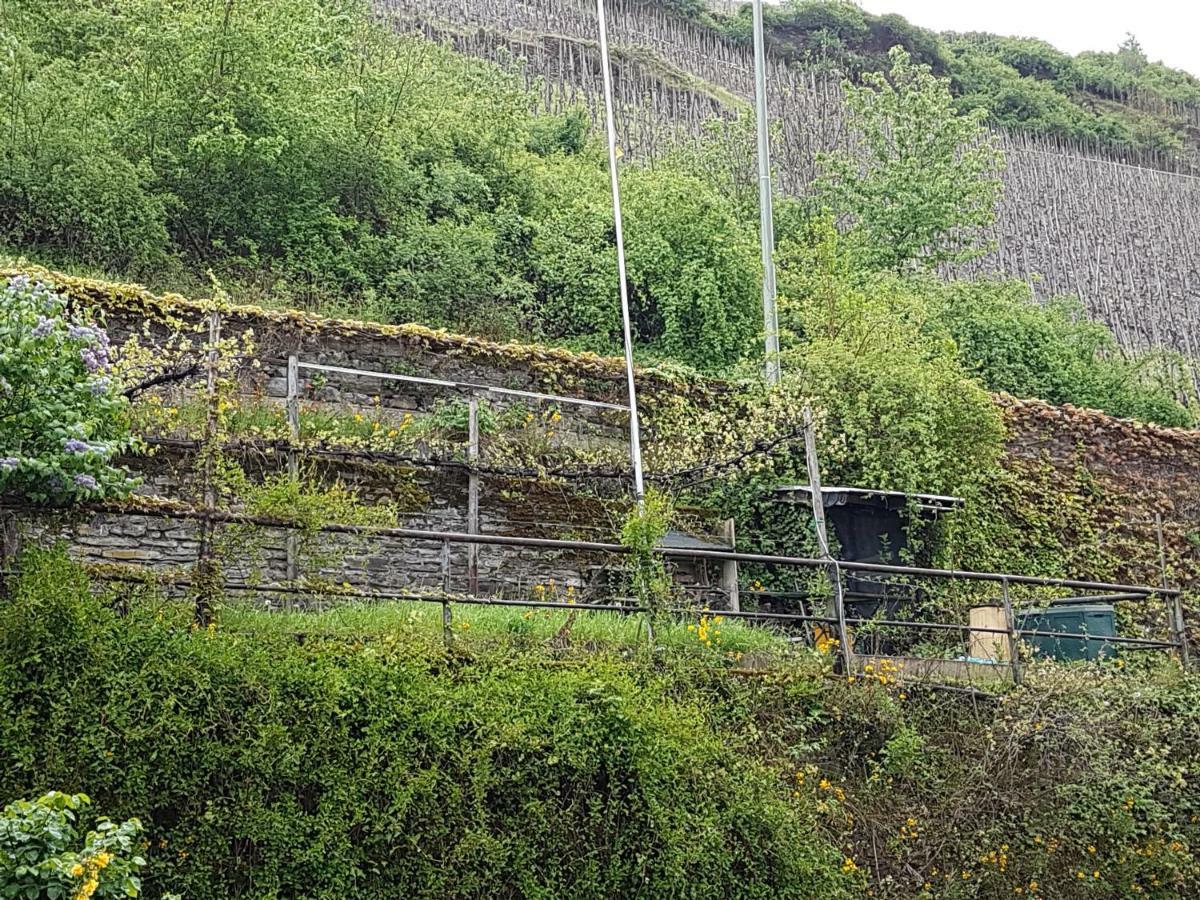 Haus Anna Villa Zell an der Mosel Dış mekan fotoğraf